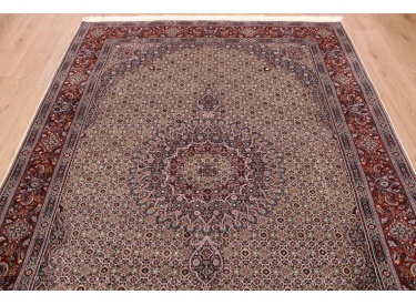 Persian carpet "Moud" with silk 290x205 cm