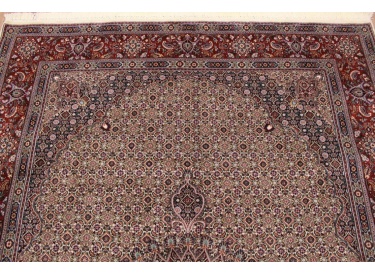 Persian carpet "Moud" with silk 290x205 cm