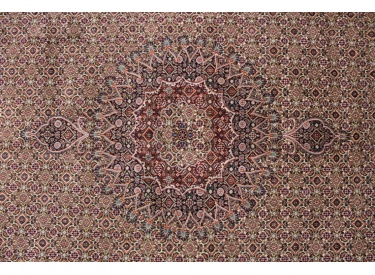 Persian carpet "Moud" with silk 290x205 cm