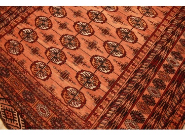 Oriental carpet Turkmen wool carpet 186x131 cm