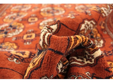 Oriental carpet "Tekke-Turkmen wool 189x135 cm