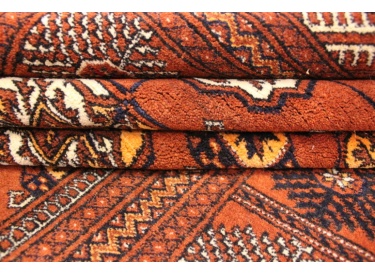 Oriental carpet "Tekke-Turkmen wool 189x135 cm