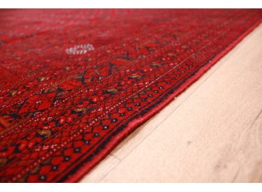 Oriental carpet Bukhara wool 399x295 cm exclusive