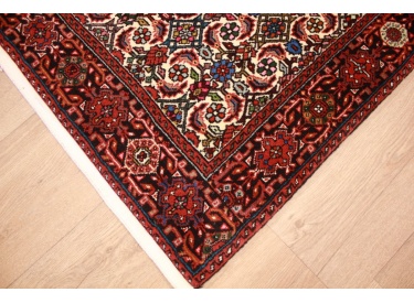 Persian carpet Sanjan Gholtogh virgin wool 157x100 cm