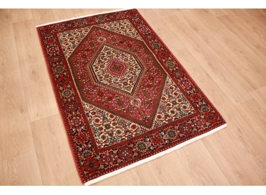 Persian carpet Sanjan Gholtogh virgin wool 158x100 cm
