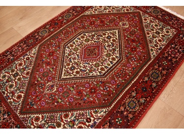Persian carpet Sanjan Gholtogh virgin wool 158x100 cm