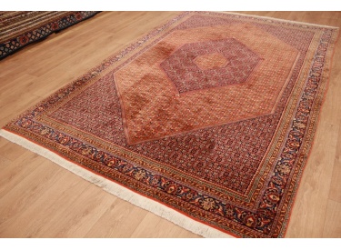 Persian carpet Bidjar oriental rug 310x208 cm