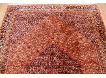 Persian carpet Bidjar oriental rug 310x208 cm