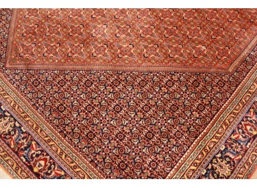 Perserteppich Bidjar Orient Teppich 310x208 cm