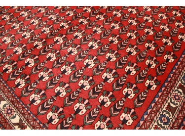 Persian carpet Ghashghai wool  196x150 cm Abadeh