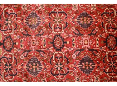 Persian carpet Hamedan virgin wool 307x202 cm