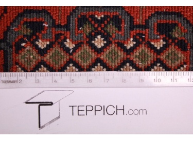 Oriental carpet Bidjar virgin wool 185x111 cm