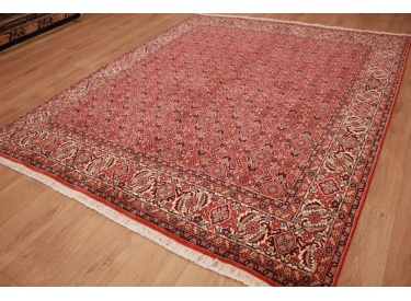 Persian carpet "Bidjar" oriental rug  242x200 cm