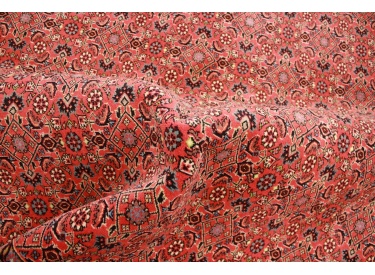 Persian carpet "Bidjar" oriental rug  242x200 cm