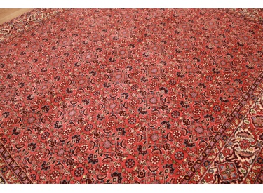 Persian carpet "Bidjar" oriental rug  242x200 cm