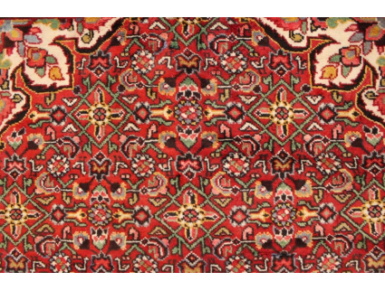 Persian carpet Hamedan virgin wool 300x153 cm