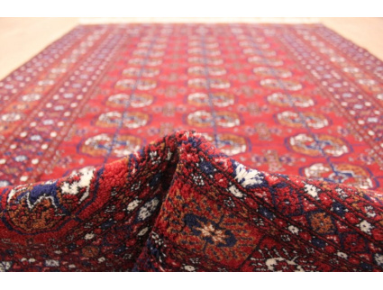 Oriental carpet Bukhara wool 190x125 cm