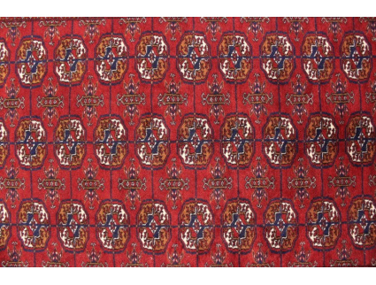 Oriental carpet Bukhara wool 190x125 cm