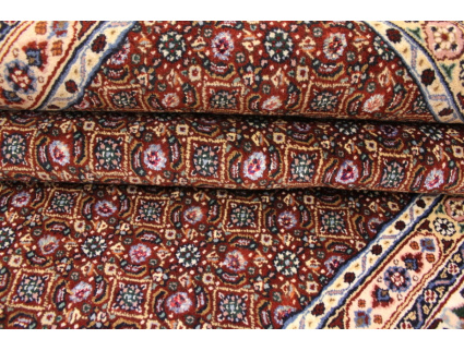 Persian carpet "Moud" with silk 290x200 cm