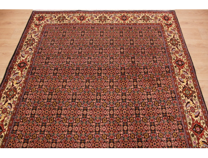 Persian carpet "Bijar"wool carpet 306x206 cm Bidjar