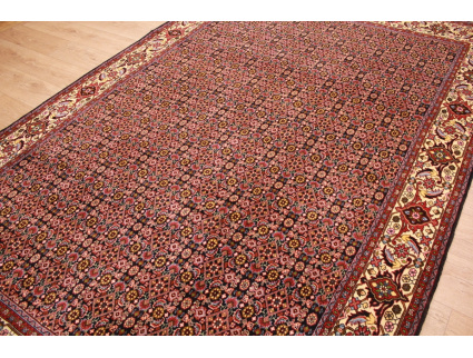 Persian carpet "Bijar"wool carpet 306x206 cm Bidjar