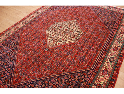 Persian carpet "Bijar"wool carpet 312x221 cm oriental rug