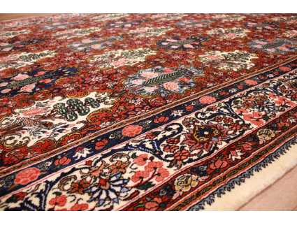 Persian carpet Bakhtiar virgin wool natural colors 315x205 cm