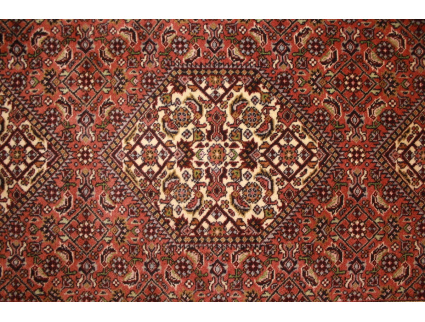 Läufer Perser Teppich Bidjar 495x72 cm Rot Lang und schmal