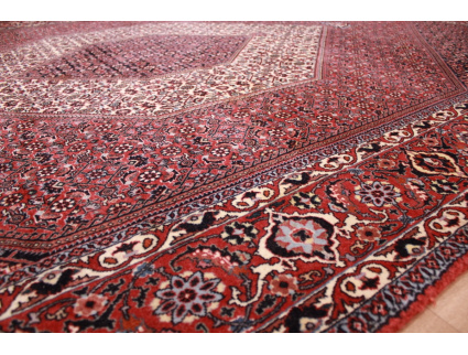 Persian carpet "Bijar" solid quality 300x200 cm