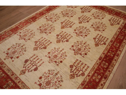 Nomadic persian wool carpet Kashkouli Beige 237x169 cm