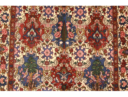 Persian carpet Bakhtiar virgin wool 248x154 cm Red