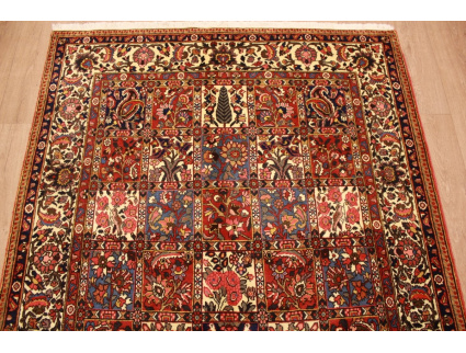 Persian carpet Bakhtiar virgin wool 256x153 cm Red