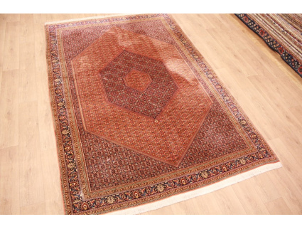 Persian carpet Bidjar oriental rug 310x208 cm