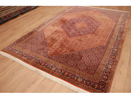 Persian carpet Bidjar oriental rug 310x208 cm