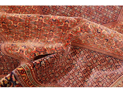 Persian carpet Bidjar oriental rug 310x208 cm