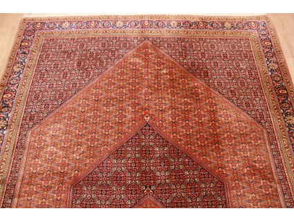 Persian carpet Bidjar oriental rug 310x208 cm