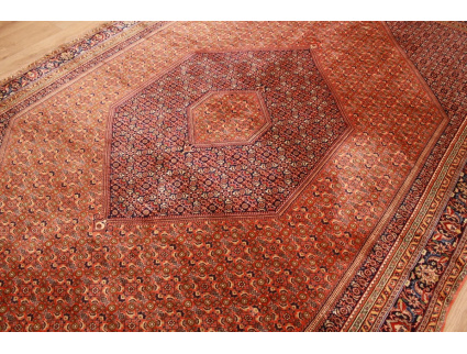 Perserteppich Bidjar Orient Teppich 310x208 cm