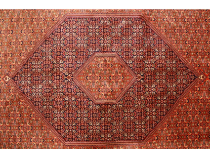 Perserteppich Bidjar Orient Teppich 310x208 cm