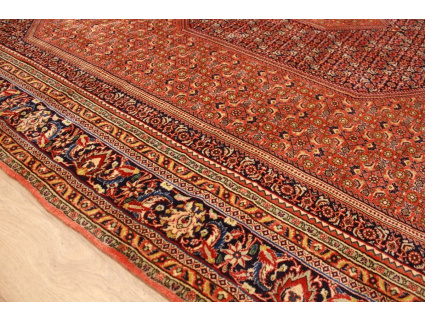 Persian carpet Bidjar oriental rug 310x208 cm