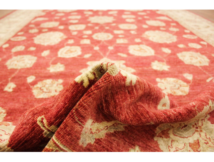 Oriental carpet Ziegler virgin wool 311x207 cm