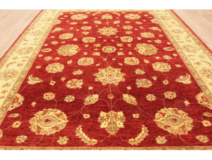 Oriental carpet Ziegler virgin wool 311x207 cm