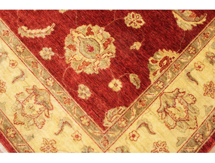 Oriental carpet Ziegler virgin wool 311x207 cm