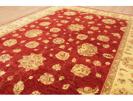 Oriental carpet Ziegler virgin wool 311x207 cm