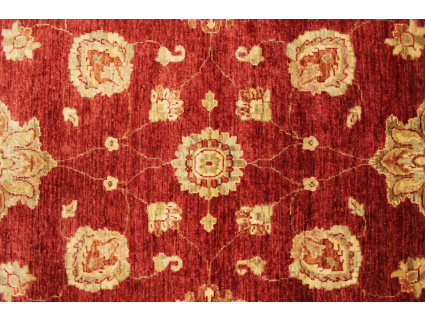 Oriental carpet Ziegler virgin wool 311x207 cm