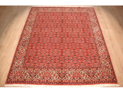 Persian carpet "Bidjar" oriental rug  242x200 cm