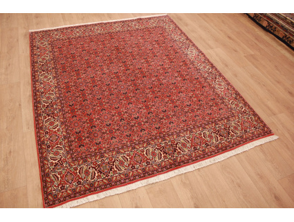 Persian carpet "Bidjar" oriental rug  242x200 cm