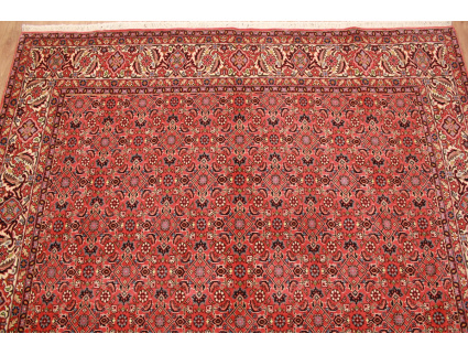 Persian carpet "Bidjar" oriental rug  242x200 cm