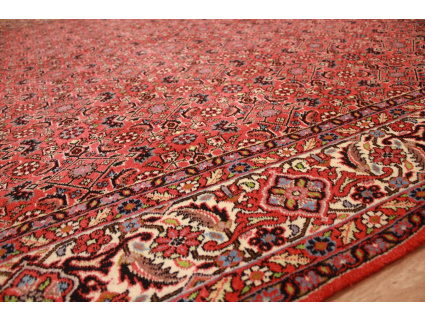 Persian carpet "Bidjar" oriental rug  242x200 cm