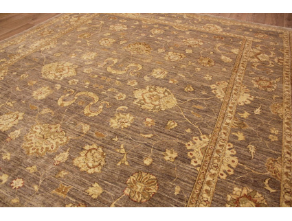 Oriental carpet Ziegler virgin wool 352x265 cm