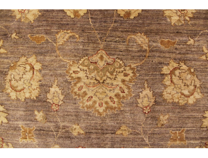 Oriental carpet Ziegler virgin wool 352x265 cm